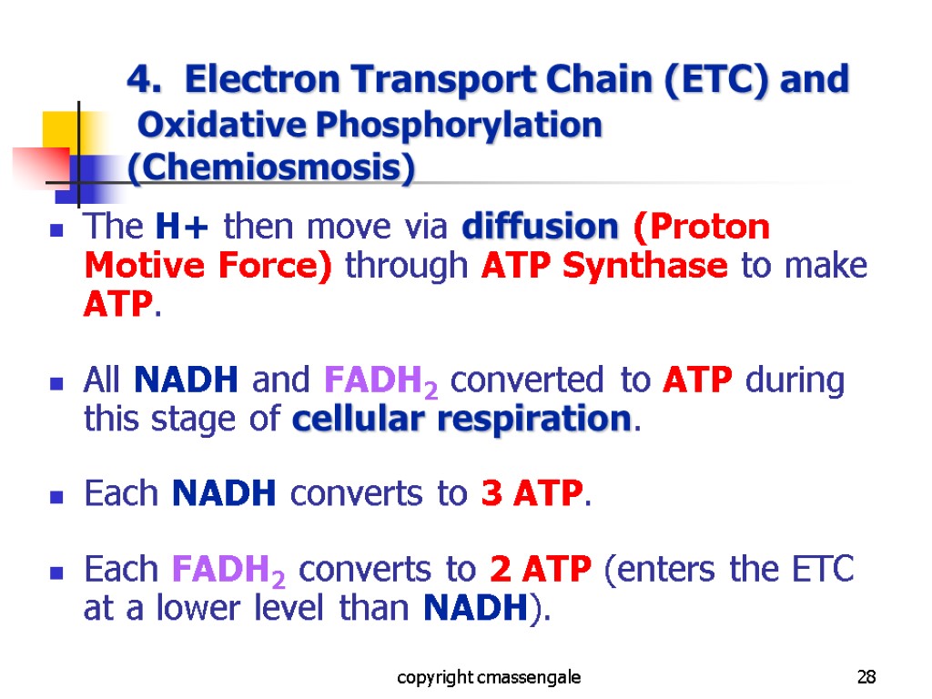 28 4. Electron Transport Chain (ETC) and Oxidative Phosphorylation (Chemiosmosis) The H+ then move